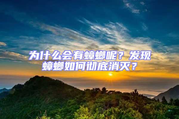 為什么會(huì)有蟑螂呢？發(fā)現(xiàn)蟑螂如何徹底消滅？