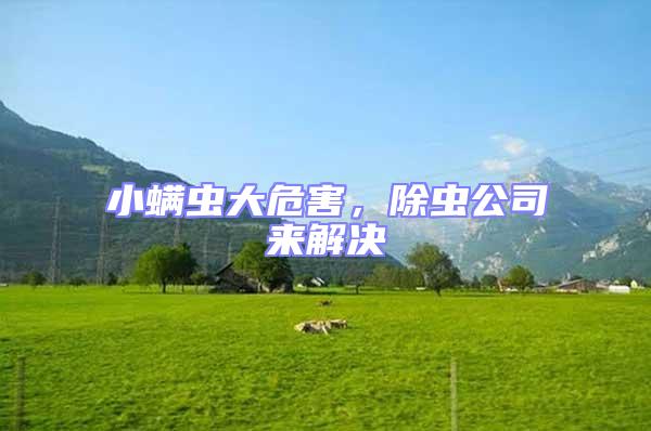 小螨蟲大危害，除蟲公司來解決