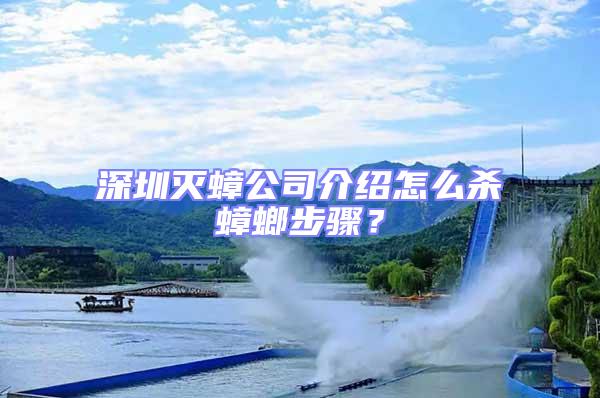 深圳滅蟑公司介紹怎么殺蟑螂步驟？