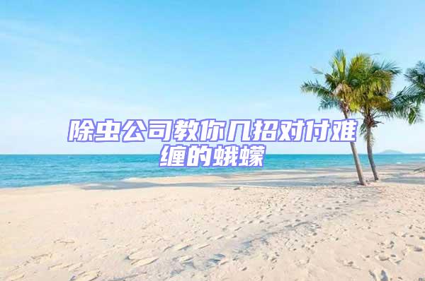 除蟲公司教你幾招對(duì)付難纏的蛾蠓