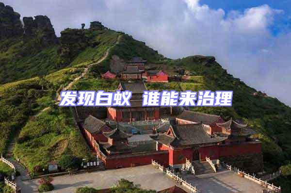 發(fā)現(xiàn)白蟻 誰能來治理