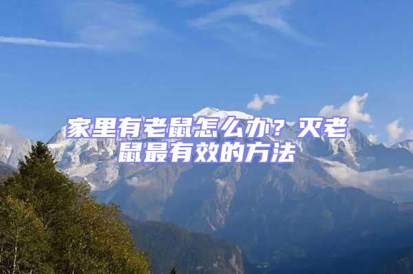 家里有老鼠怎么辦?滅老鼠最有效的方法