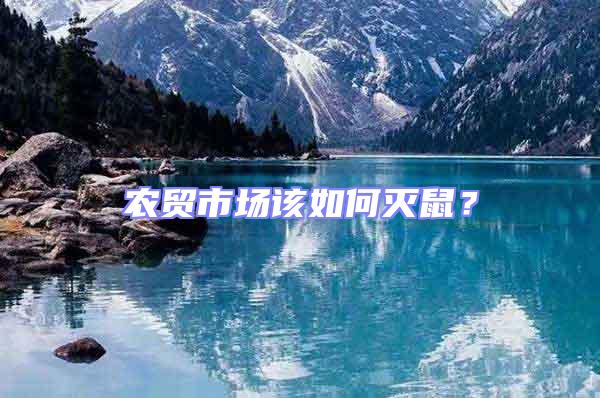 農(nóng)貿(mào)市場(chǎng)該如何滅鼠?