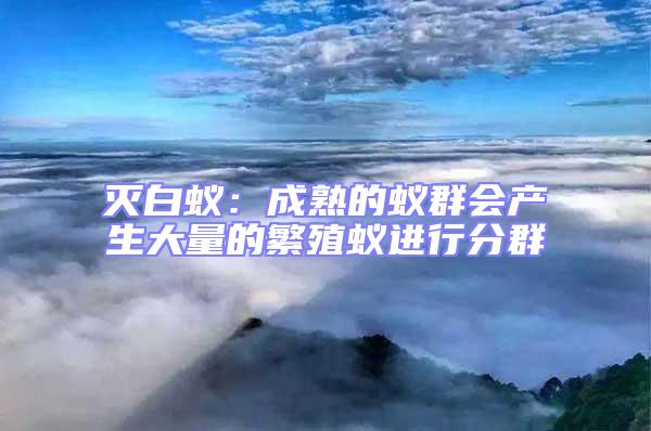 滅白蟻:成熟的蟻群會產生大量的繁殖蟻進行分群