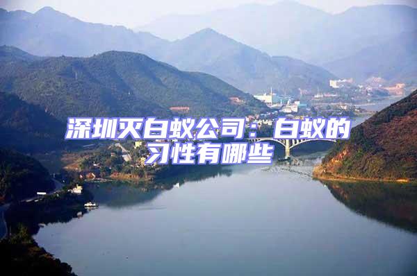 深圳滅白蟻公司:白蟻的習性有哪些
