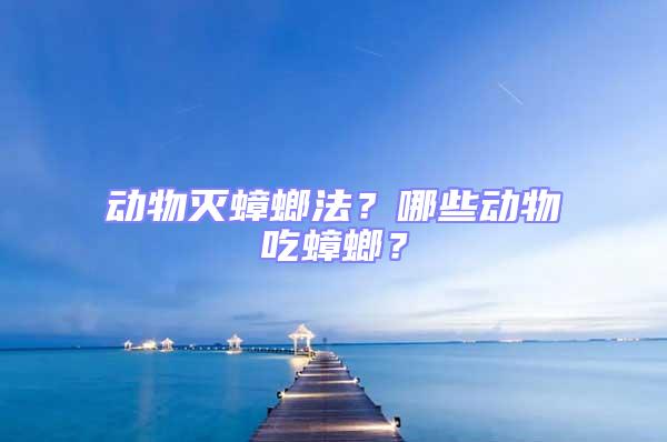 動物滅蟑螂法?哪些動物吃蟑螂?
