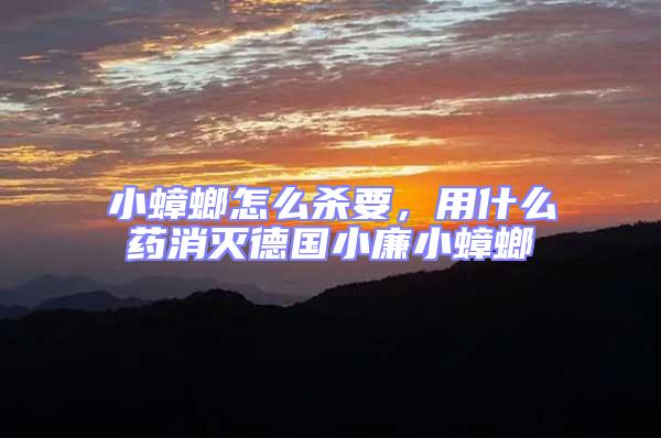 小蟑螂怎么殺要,用什么藥消滅德國小廉小蟑螂