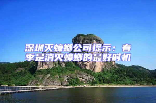 深圳滅蟑螂公司提示:春季是消滅蟑螂的最好時機