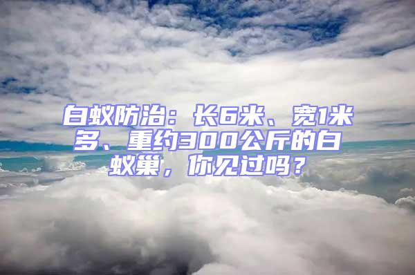 白蟻防治：長6米、寬1米多、重約300公斤的白蟻巢，你見過嗎？