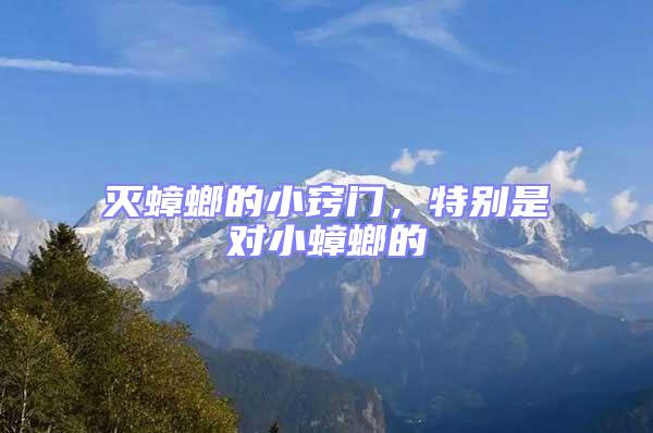 滅蟑螂的小竅門,特別是對小蟑螂的