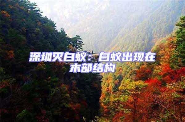 深圳滅白蟻:白蟻出現(xiàn)在木部結(jié)構(gòu)