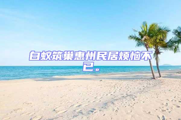 白蟻筑巢惠州民居煩惱不已。