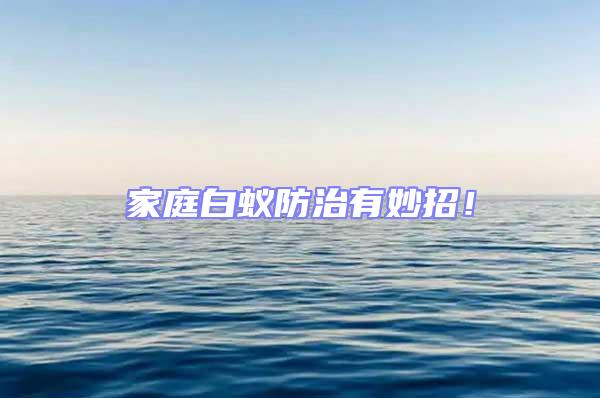 家庭白蟻防治有妙招!