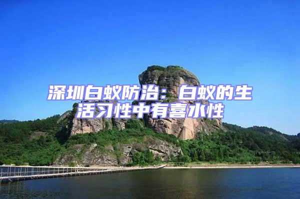 深圳白蟻防治:白蟻的生活習性中有喜水性