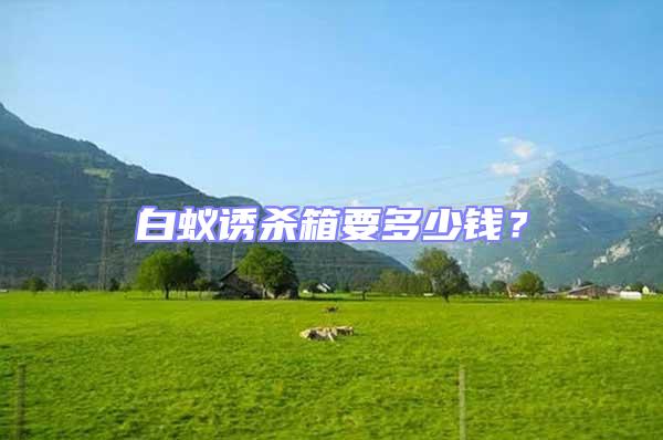 白蟻誘殺箱要多少錢?