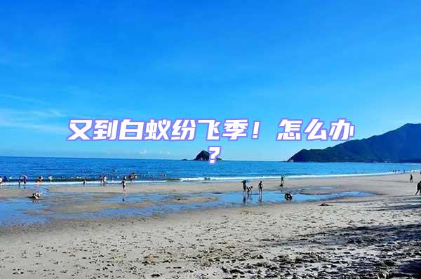 又到白蟻紛飛季!怎么辦?