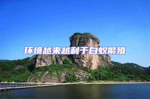 環境越來越利于白蟻繁殖