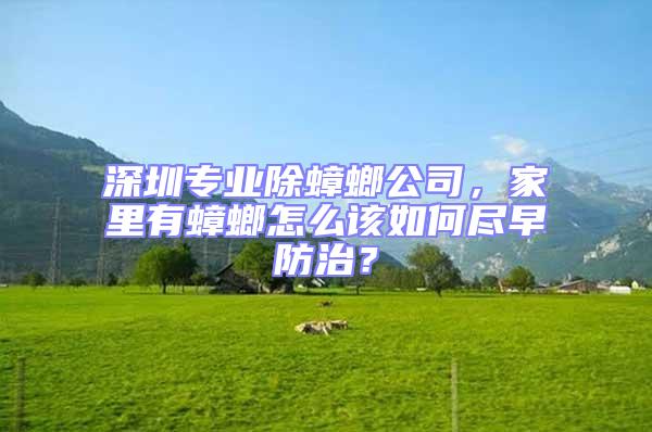 深圳專業除蟑螂公司，家里有蟑螂怎么該如何盡早防治？