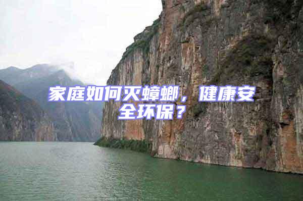 家庭如何滅蟑螂，健康安全環保？