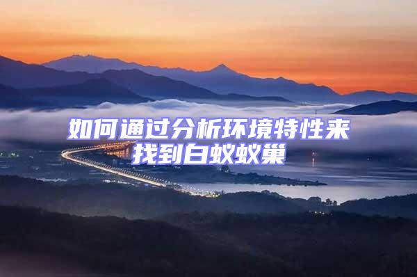如何通過分析環(huán)境特性來找到白蟻蟻巢