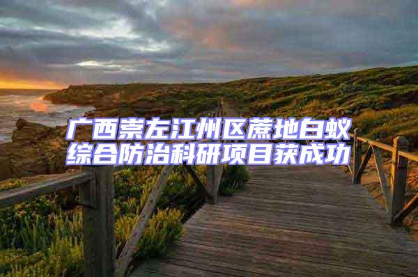 廣西崇左江州區(qū)蔗地白蟻綜合防治科研項目獲成功