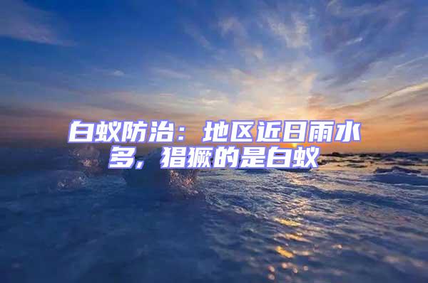 白蟻防治:地區近日雨水多, 猖獗的是白蟻