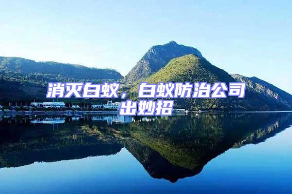 消滅白蟻，白蟻防治公司出妙招