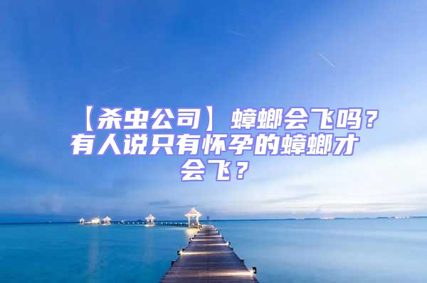 【殺蟲公司】蟑螂會飛嗎?有人說只有懷孕的蟑螂才會飛?