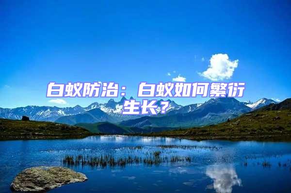 白蟻防治:白蟻如何繁衍生長?