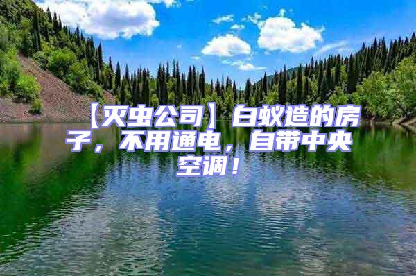 【滅蟲公司】白蟻造的房子,不用通電,自帶中央空調!