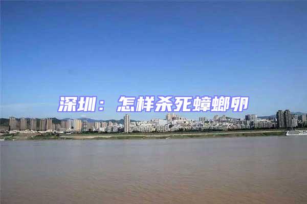 深圳:怎樣殺死蟑螂卵