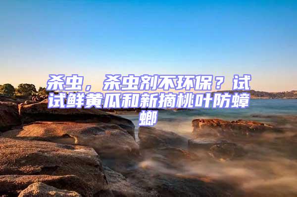 殺蟲,殺蟲劑不環保?試試鮮黃瓜和新摘桃葉防蟑螂