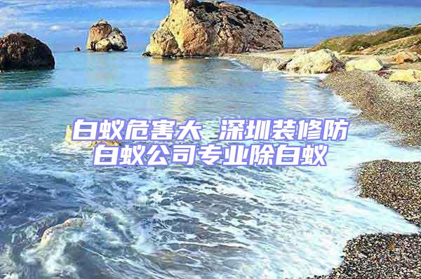 白蟻危害大 深圳裝修防白蟻公司專業除白蟻