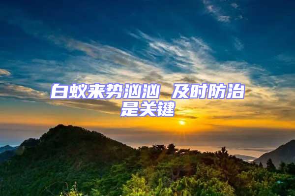 白蟻來勢洶洶 及時(shí)防治是關(guān)鍵