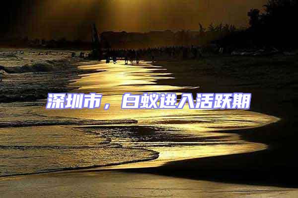 深圳市,白蟻進入活躍期