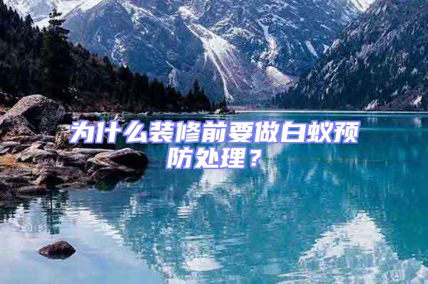 為什么裝修前要做白蟻預(yù)防處理?