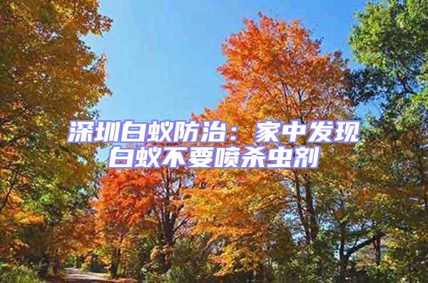 深圳白蟻防治:家中發現白蟻不要噴殺蟲劑