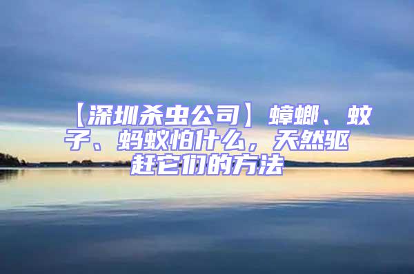 【深圳殺蟲公司】蟑螂、蚊子、螞蟻怕什么,天然驅趕它們的方法