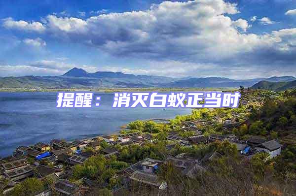 提醒:消滅白蟻正當時