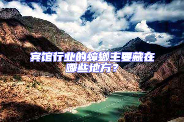賓館行業(yè)的蟑螂主要藏在哪些地方？
