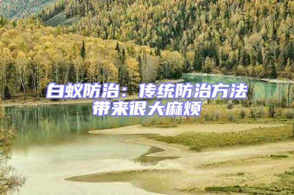 白蟻防治:傳統防治方法帶來很大麻煩