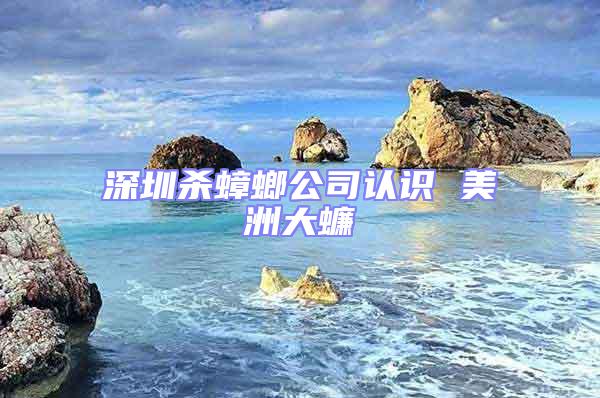 深圳殺蟑螂公司認(rèn)識 美洲大蠊