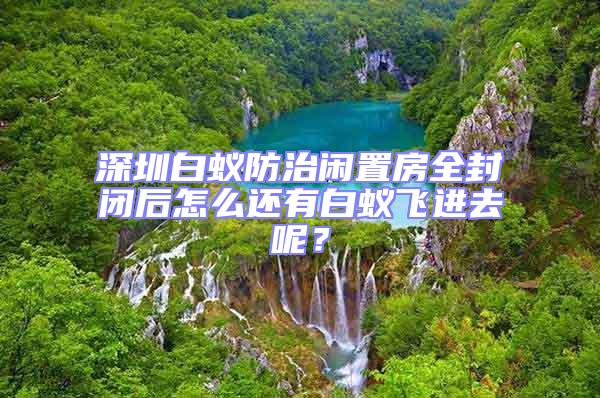 深圳白蟻防治閑置房全封閉后怎么還有白蟻飛進去呢?
