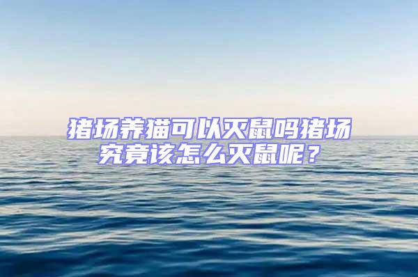 豬場(chǎng)養(yǎng)貓可以滅鼠嗎豬場(chǎng)究竟該怎么滅鼠呢?