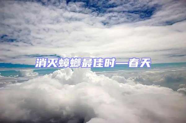 消滅蟑螂最佳時(shí)—春天