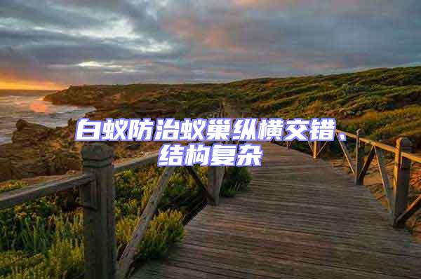 白蟻防治蟻巢縱橫交錯、結構復雜