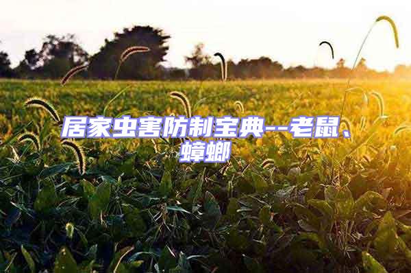 居家蟲(chóng)害防制寶典--老鼠、蟑螂