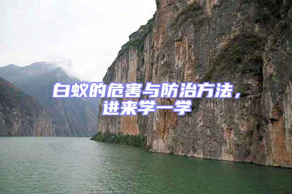 白蟻的危害與防治方法,進來學一學