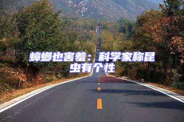 蟑螂也害羞:科學(xué)家稱昆蟲有個(gè)性