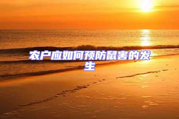 農(nóng)戶應如何預防鼠害的發(fā)生